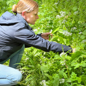 Girl foraging for herbs.